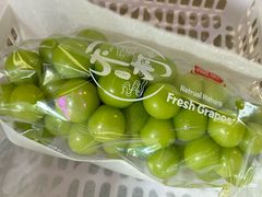 -马陆小张葡萄园农家乐