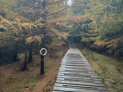 -苏木山森林公园