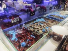 -加餐海鲜自助(宝龙一城店)