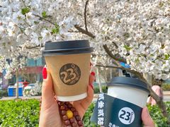 -2326 Coffee Roaster咖啡豆可选店(林肯公园店)