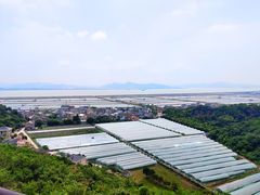 -伍山石窟