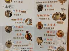 -猫小主咖啡·猫咖cat cafe(福田店)