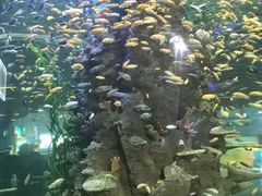 -石林冰雪海洋世界