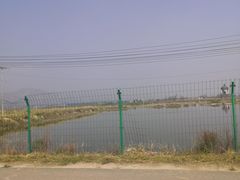 -哈素海