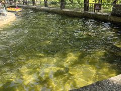 -十渡高山漂流