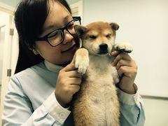 -纳吉亚猫专科动物医院博雅分院