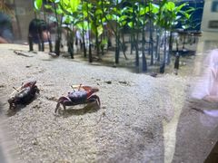 -欢乐海岸海洋奇梦馆