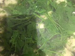 -大鹏饭店·金陵家宴(奥体中心店)