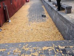 -萧记三鲜烩面(东站店)