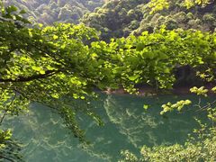 -祁门牯牛降观音堂风景区