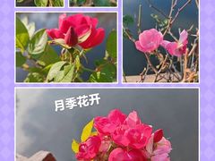 -长广溪湿地公园