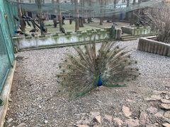 -南京金牛湖风景区