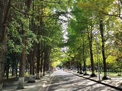 -四川大学(望江校区)