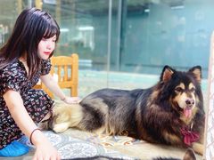 -more than meow吴止猫主题餐厅(承德 中船汇店)