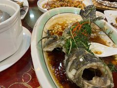 东星斑-湛江海鲜食府(一号路店)