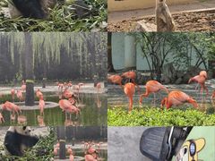 -石家庄市动物园