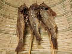 网红小黄鱼-美膳居川菜馆油焖大虾烧烤(卓刀泉店)