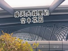 -上海中心大厦