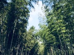 -黄公望隐居地
