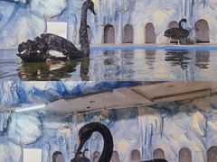 -常州海昌海洋探索馆