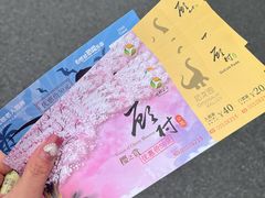 -自然谷恐龙园