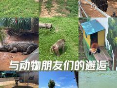 -西霞口神雕山野生动物世界