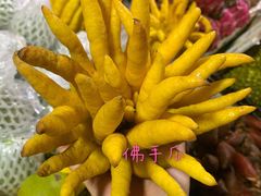 -曼阁市场水果批发市场