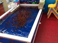 -TOYSRUS玩具反斗城(上海青浦吾悦广场店)