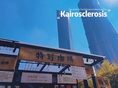 -陆家嘴中心绿地