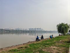 -灞河西岸滨河公园