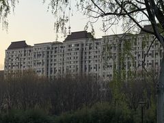 -金星公园