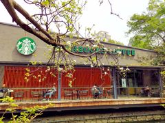 -星巴克(成都天府水街店)