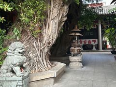 -叩齿古寺