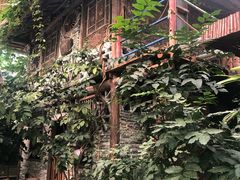 -呀路古热带植物园