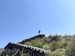 -白草畔自然风景区