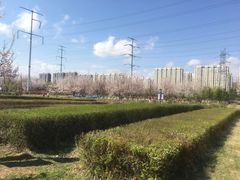 -南关北海公园