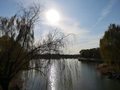 -大兴滨河森林公园