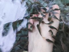 -唐风温泉