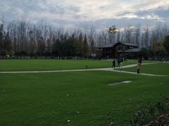 -合肥滨湖国家森林公园