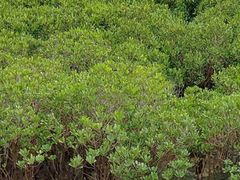 -黄金海岸环岛路
