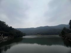 -桃花岭景区