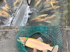 -北京水岸山吧度假村(雁栖镇店)