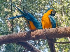 -北京野生动物园