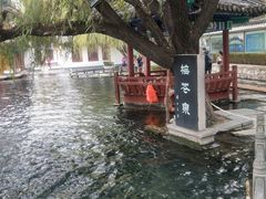 -百脉泉景区