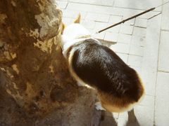 -柯达真美(老重庆中路店)