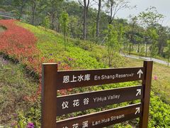 -梧桐山风景名胜区