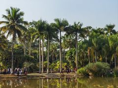 -中国科学院西双版纳热带植物园