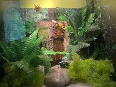 -湖南省地质博物馆