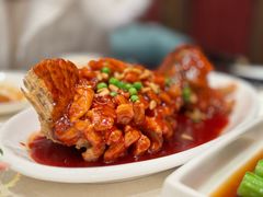 -新雅粤菜馆(南京东路店)