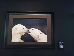 -罗红摄影艺术馆